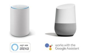 Alexa and google Assisted